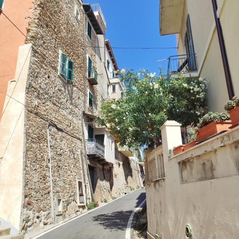 La Maddalena Apartment - Appartement 1 Chambre - 28