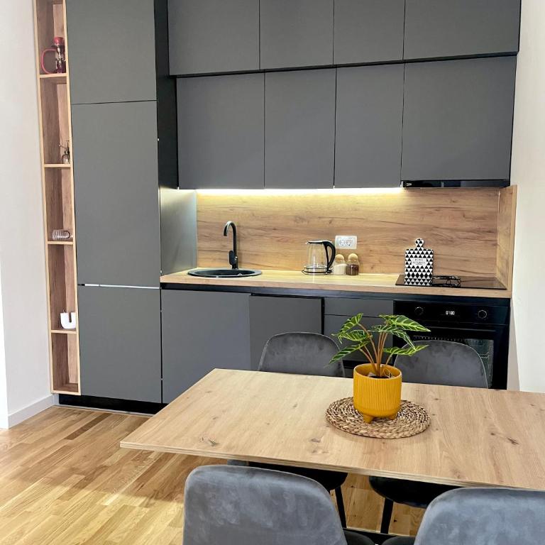 Montenegro Suite Rental - One-Bedroom Apartment - 1