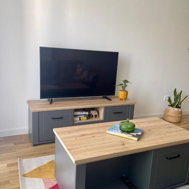 Montenegro Suite Rental - One-Bedroom Apartment - 5