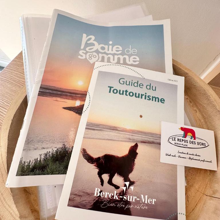 Appartement 4 pers cosy à 500m de la plage de Berck - Appartamento con 1 Camera da Letto - 14