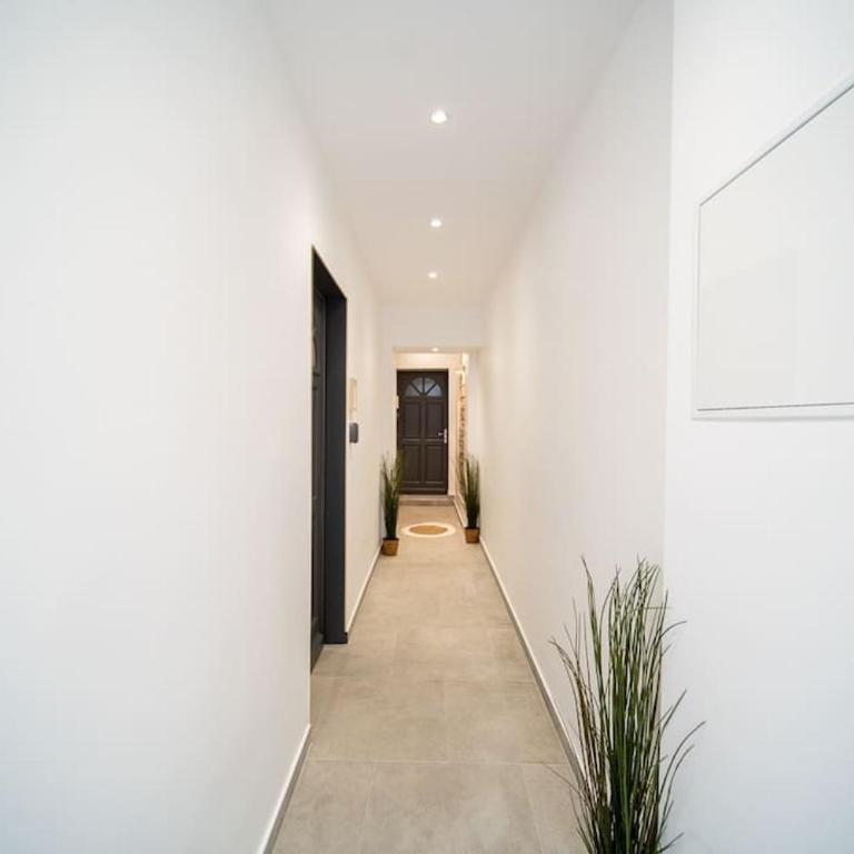 "Le Monstera" T1 20m2 Duplex Clim Prox Gare Métro - One-Bedroom Apartment - 17