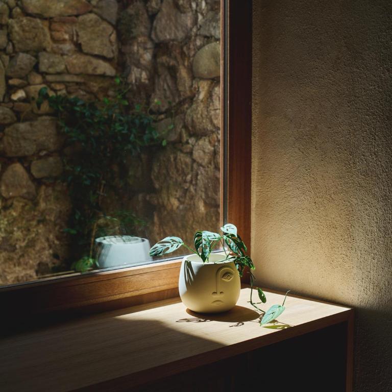 Ajaccio Hypercentre, Superbe appartement dans une ancienne écurie du XVIIIe Siècle - Appartamento con 1 Camera da Letto - 22