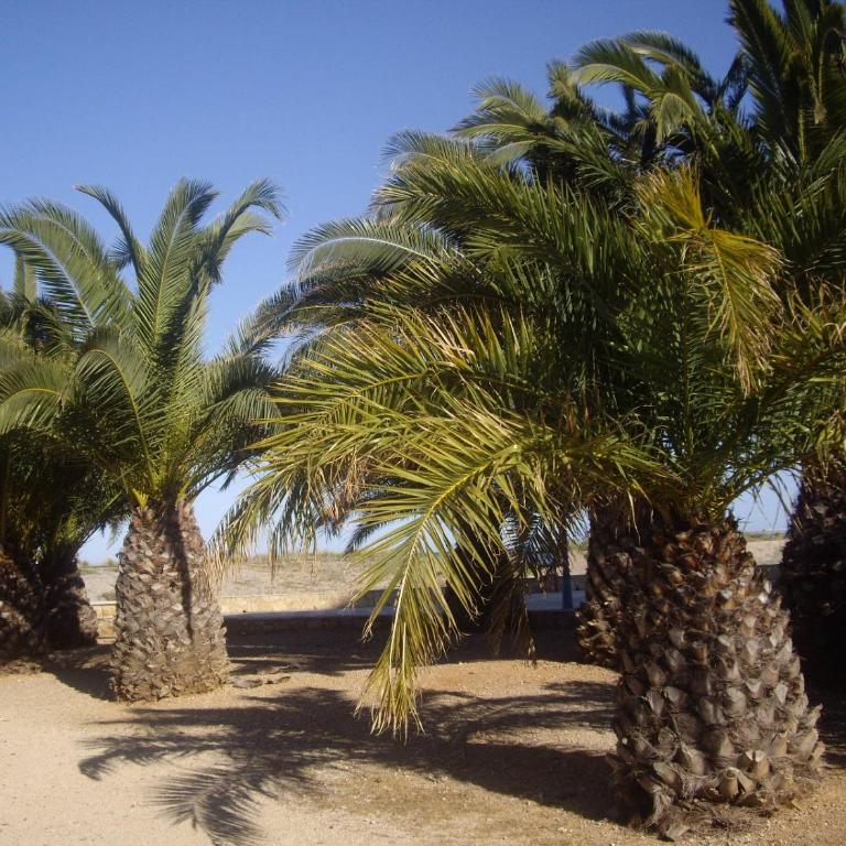 ADOSADO PEÑISCOLA A 200 metros DE LA PLAYA NORTE - Casa de 3 dormitorios - 6