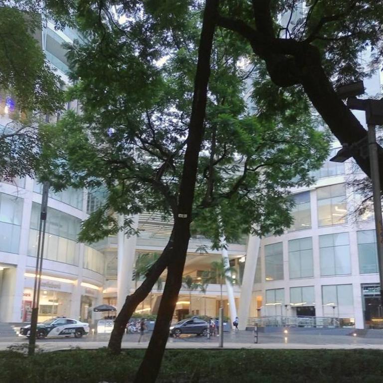 Suite con lunas y Sol del Río Amazonas, por Reforma 222 - Apartamento de 1 dormitorio - 34