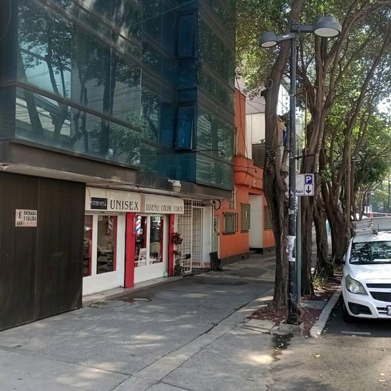Suite con lunas y Sol del Río Amazonas, por Reforma 222 - Apartamento de 1 dormitorio - 32