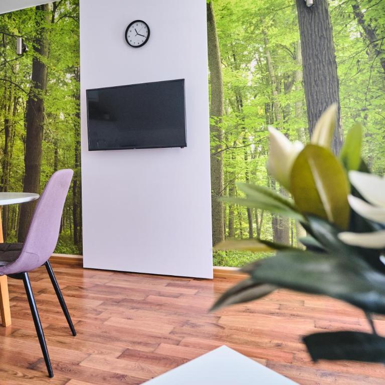 ŽUPAN apartmani - Apartman sa Balkonom - 12
