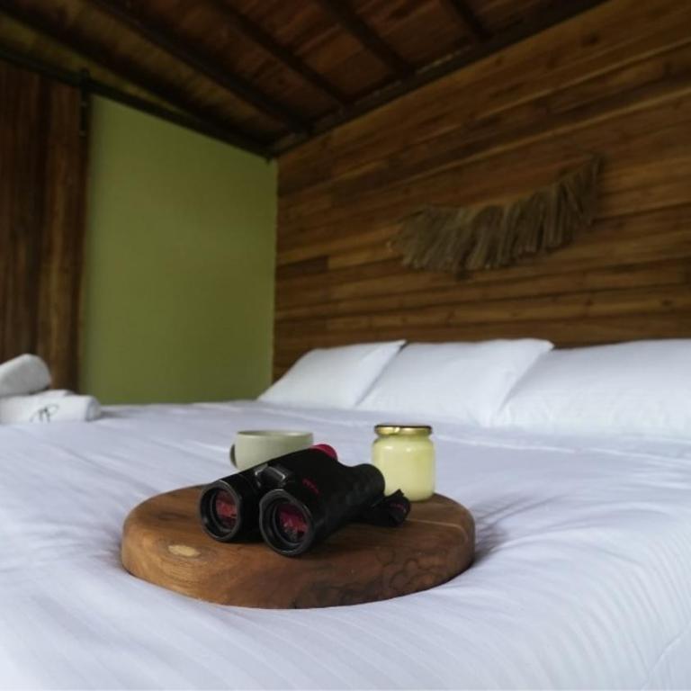 Montés Samaná - Suite Familiar Deluxe - 12