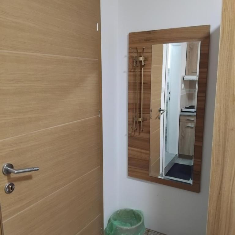 APARTMANSKI SMEŠTAJ SOLARIS kod Aqua Parka Studio Apartmani - Studio Apartman - 3