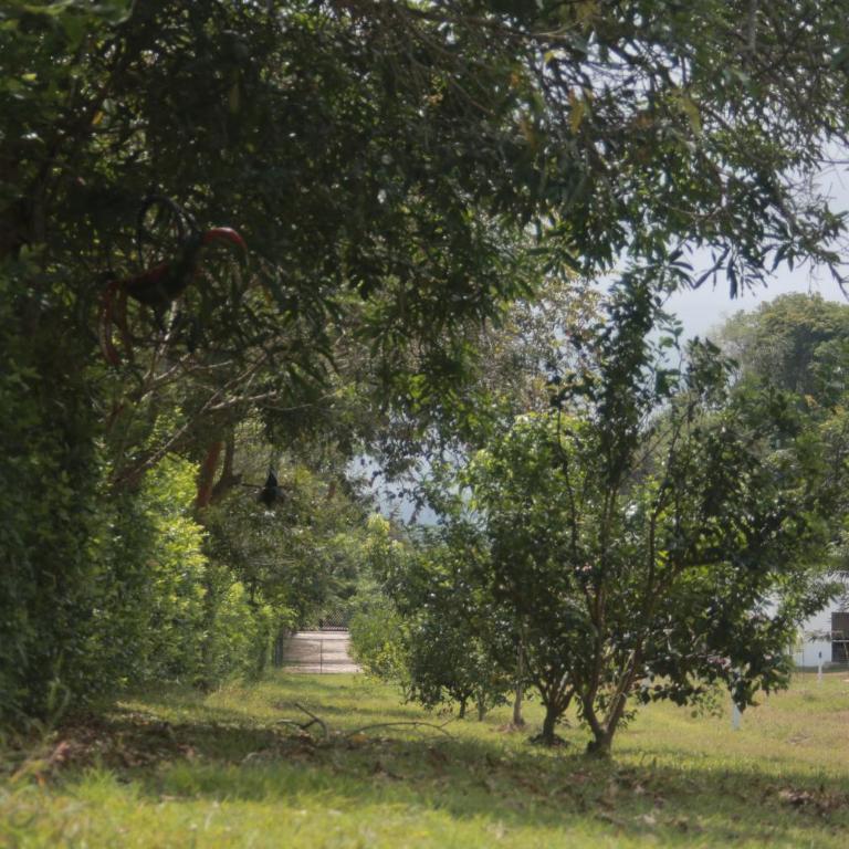 Natural View - Villa Deluxe - 12