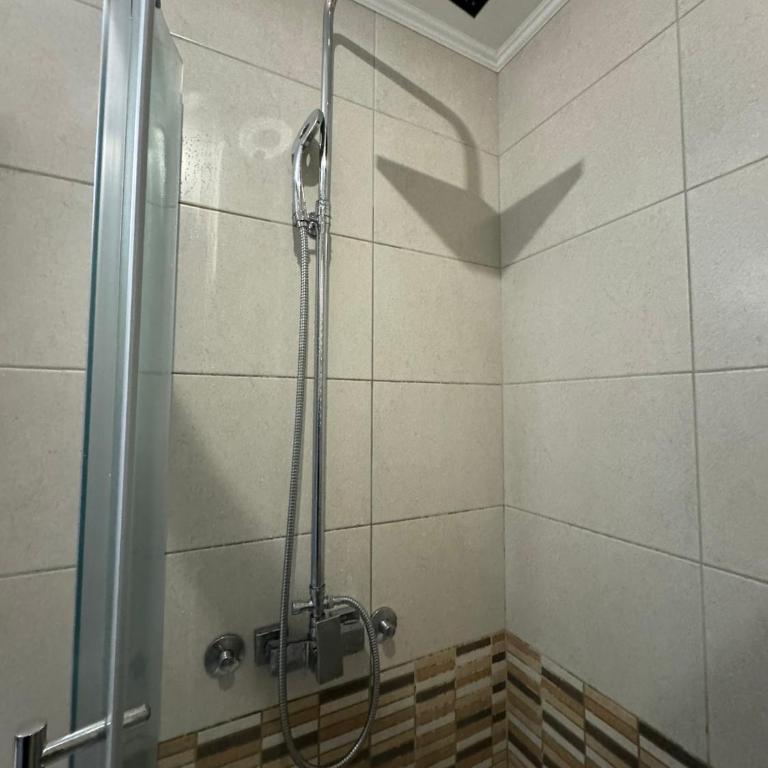 Vila Kopaonik Apartmani Milenkovic - Standardni Trokrevetni Studio - 40