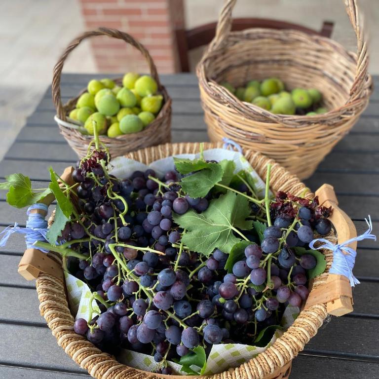 Villa Vittoria - Appartamento con doccia - 16