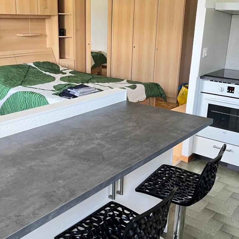 Appartement meublé Monthey - Apartment mit 1 Schlafzimmer - 1