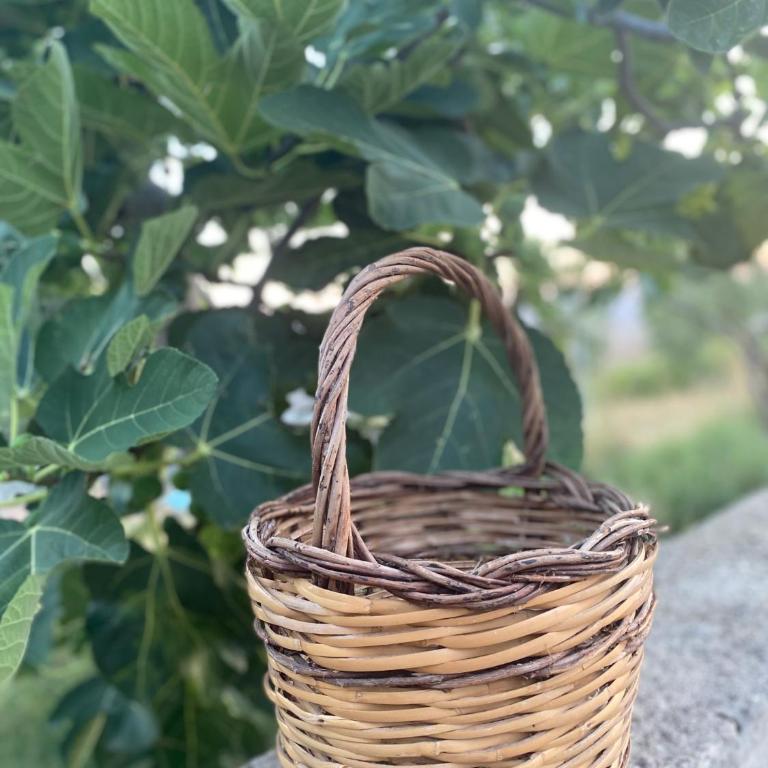 Villa Vittoria - Appartamento con doccia - 10