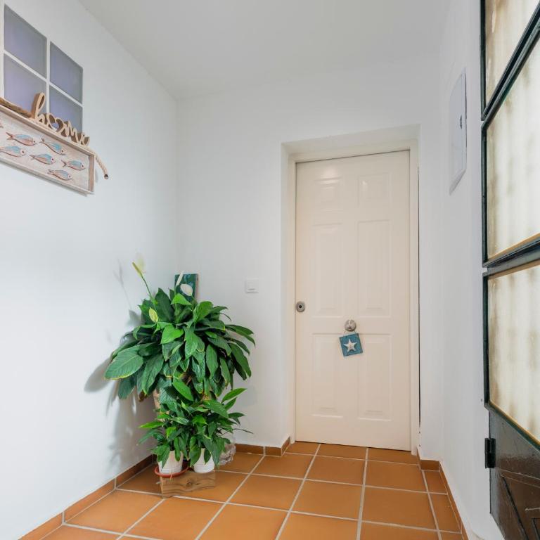 Surf House Las Gaviotas - Apartamento de 1 dormitorio - 4