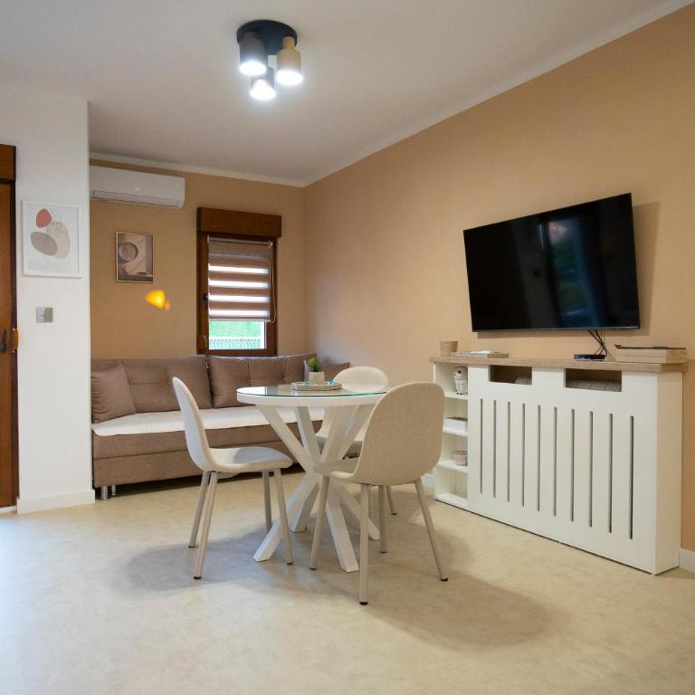 Apartmani AS - Porodična Soba - 37