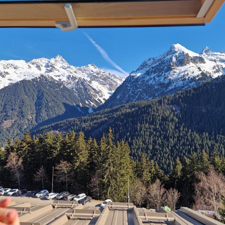 Studio Le Gentiane - Studio - Vue sur Montagne - 10