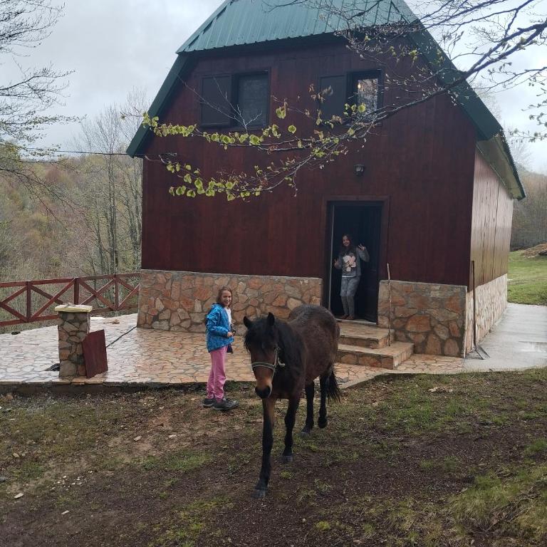 Golden Meadow - Three-Bedroom Villa - 42