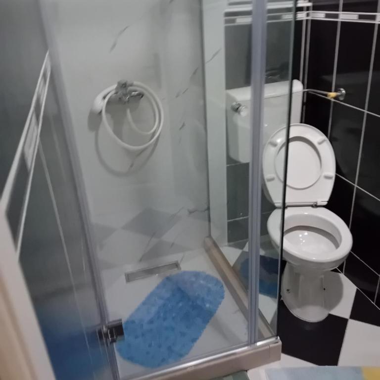 Apartman,,Siv,, Prijevor - Apartman sa 1 Spavaćom Sobom - 8