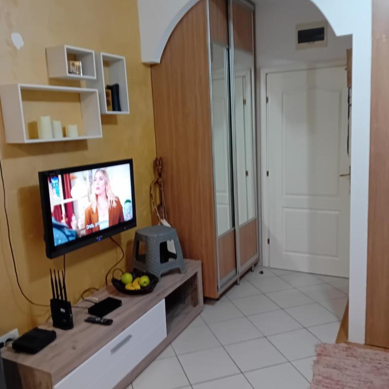 Apartman,,Siv,, Prijevor - Apartman sa 1 Spavaćom Sobom - 4