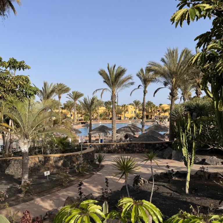 Golden Dream, Swimming Pool and parking - One-Bedroom House - 19