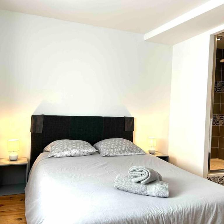 Hyper Centre Charmant T2 idéalement situé - Apartment mit 1 Schlafzimmer - 4