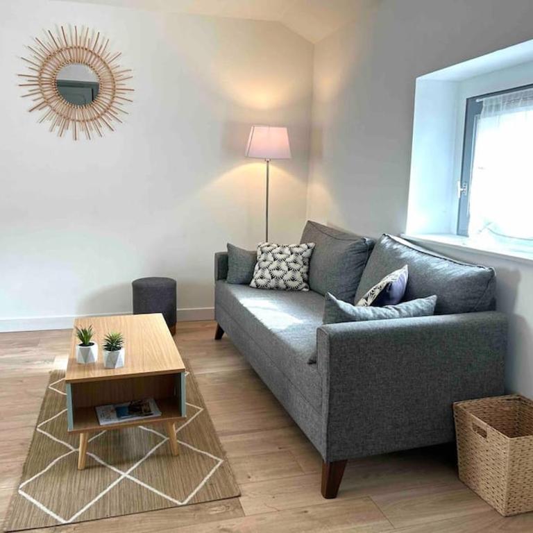 Hyper Centre Charmant T2 idéalement situé - Apartment mit 1 Schlafzimmer - 13