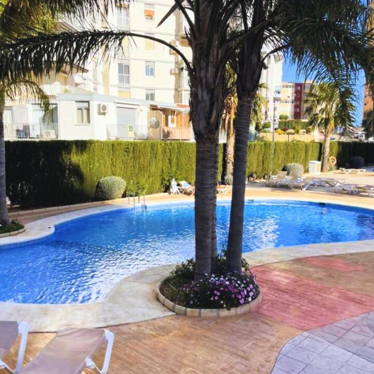 Esmeralda Suites - One-Bedroom Apartment - 13