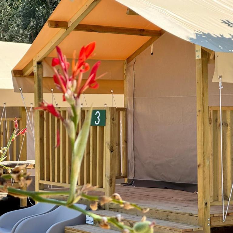 Hostel & Glamping Santa Fortunata - Tent Mini Lodge - 1