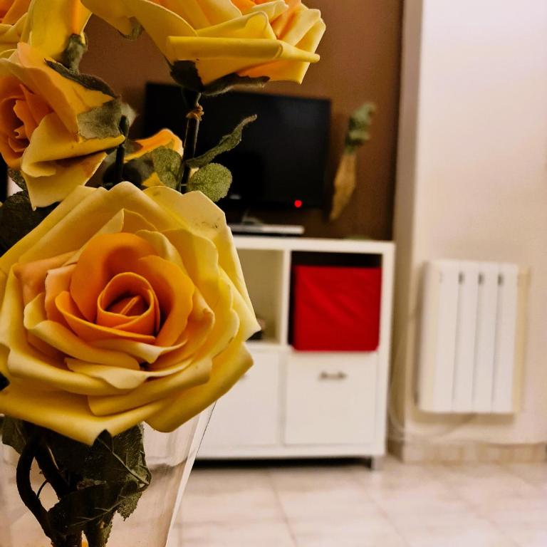Las Cuatro Esquinas de Cáceres - Apartamento de 3 dormitorios - 19