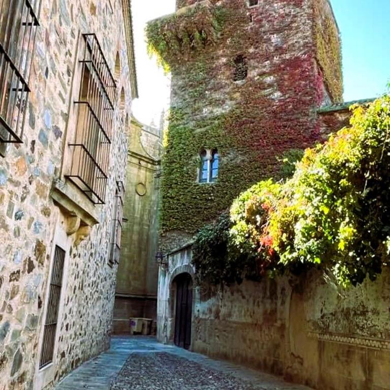 Las Cuatro Esquinas de Cáceres - Apartamento de 3 dormitorios - 52