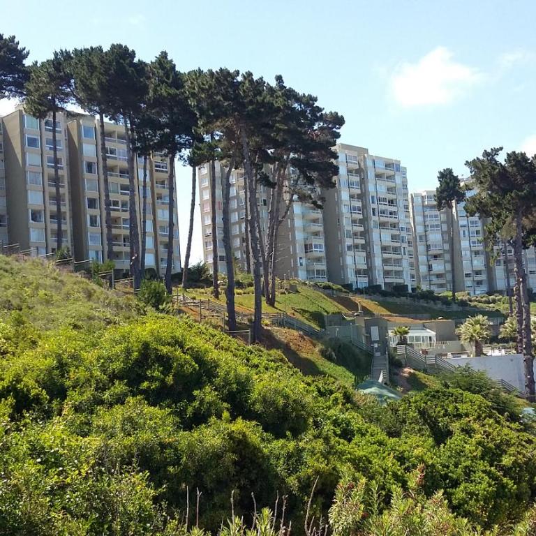 Algarrobo Apartment - Apartamento de 2 dormitorios - 8