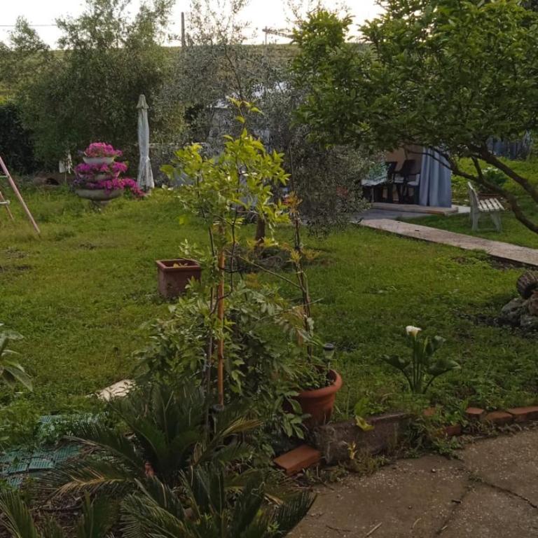 Casina Maria - Apartment mit 1 Schlafzimmer - 2