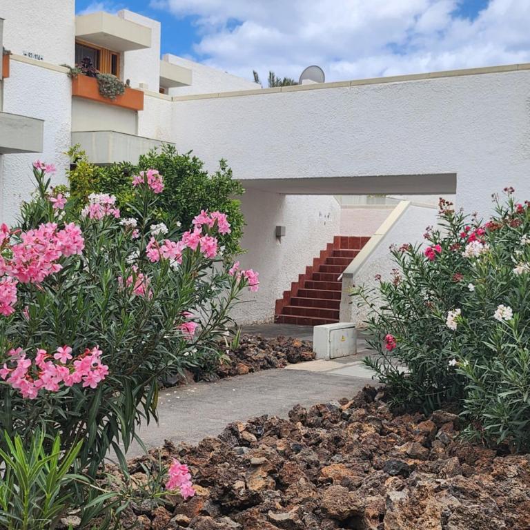 Tenerife Sunshine south apartment Beach by La Ballena - Apartamento de 1 dormitorio - 17