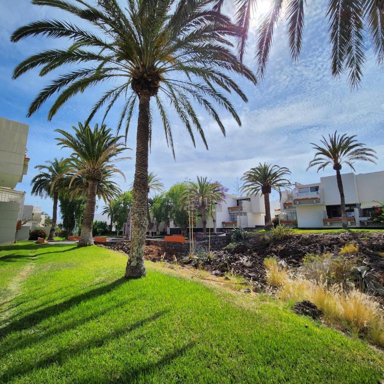 Tenerife Sunshine south apartment Beach by La Ballena - Apartamento de 1 dormitorio - 25