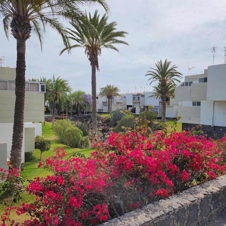 Tenerife Sunshine south apartment Beach by La Ballena - Apartamento de 1 dormitorio - 12