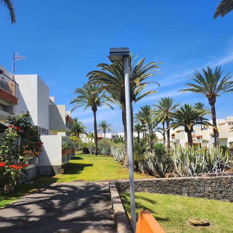 Tenerife Sunshine south apartment Beach by La Ballena - Apartamento de 1 dormitorio - 26