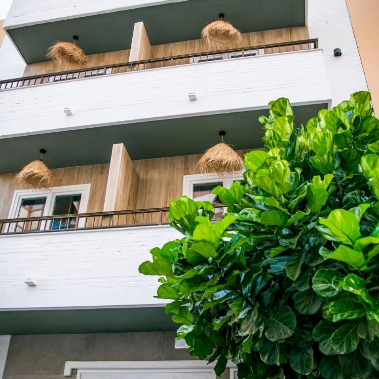 Casa Lyrata Comfort & Design - Estudio con terraza - 1
