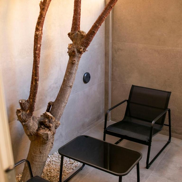 Casa Lyrata Comfort & Design - Estudio con terraza - 12