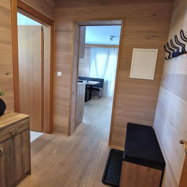 Zell am See Lake View Apartment - Apartment - 9