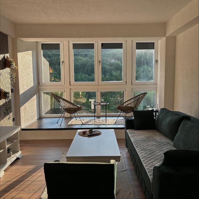 Stan na dan 5, Sarajevo - Apartman sa 1 Spavaćom Sobom - 4