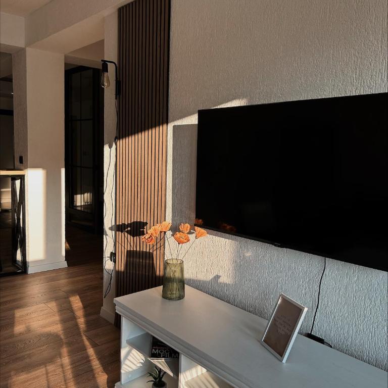Stan na dan 5, Sarajevo - Apartman sa 1 Spavaćom Sobom - 8