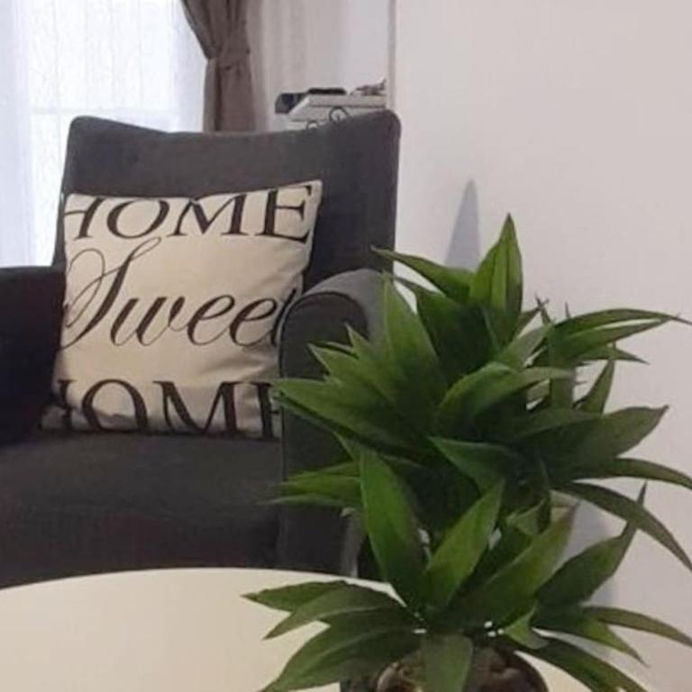 BRAND NEW Entire Place in CENTER of ZEMUN - Apartman sa 1 Spavaćom Sobom - 6