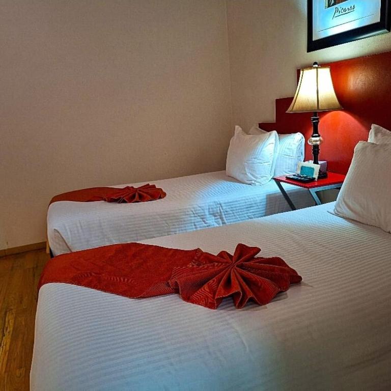 Hotel del Capitán de Puebla - Vitrales - Apartamento Superior de 1 dormitorio - 10
