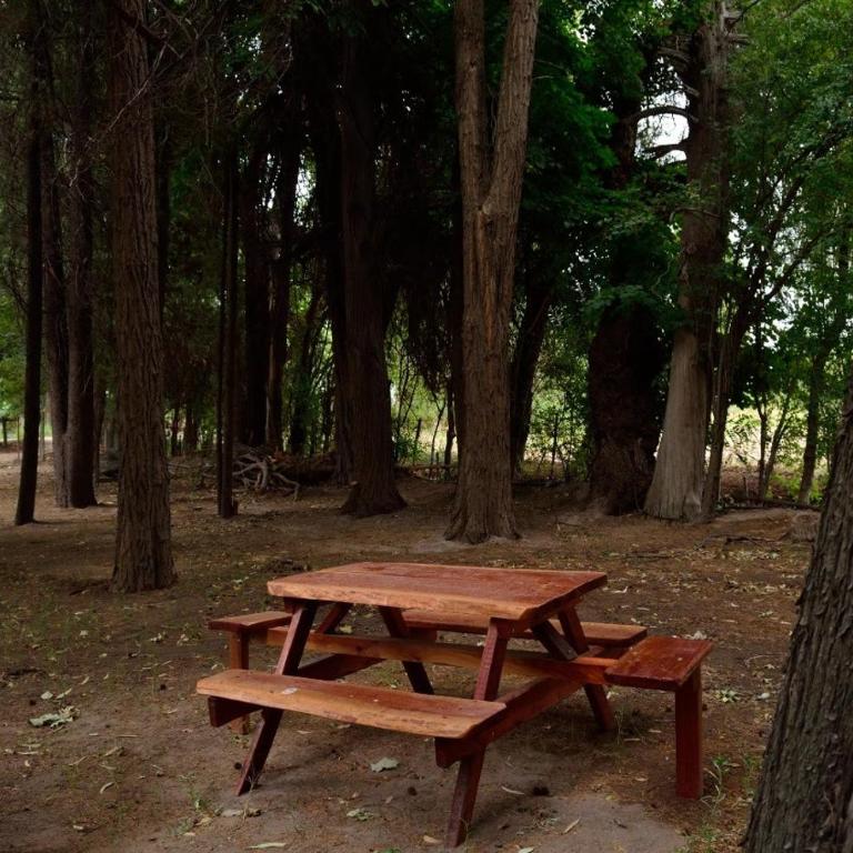 Posada Los Cipreses - Casa de 4 dormitorios - 22