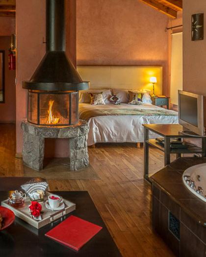 Lirolay Suites - Apart Hotel - Estudio con sofá cama - 5