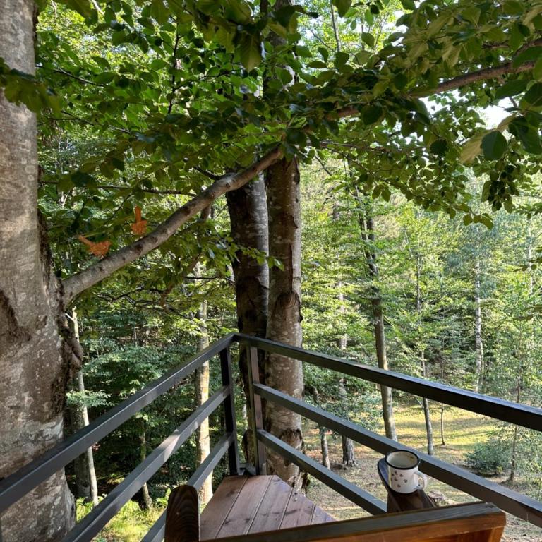 Forest House Divcibare - Vila sa 2 Spavaće Sobe - 5