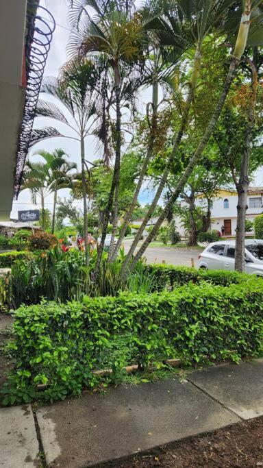 Apartamento barrio Albergue - Apartamento Estándar de 2 dormitorios - 12
