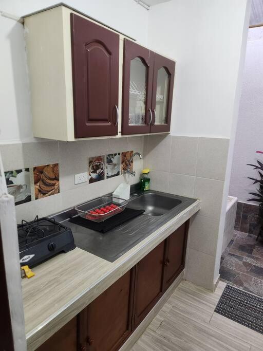 Apartamento barrio Albergue - Apartamento Estándar de 2 dormitorios - 14