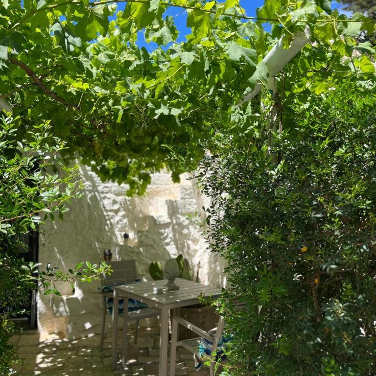 Tenuta del Lauro - Suite Deluxe - 2