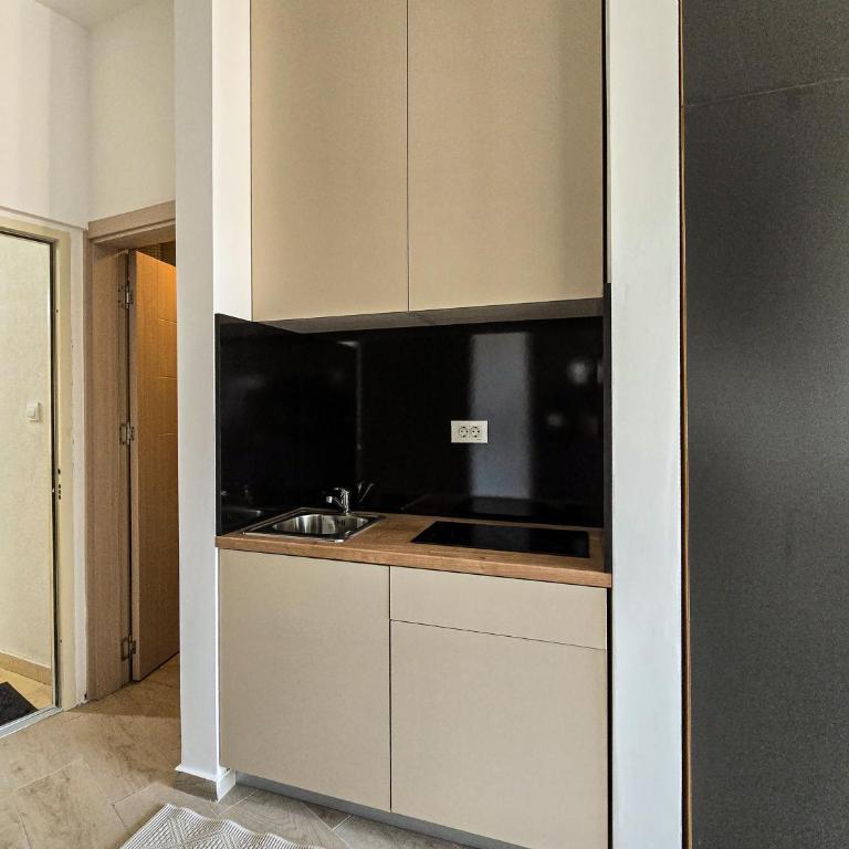 Juzni Horizont Apartments - Apartman sa 1 Spavaćom Sobom - 4